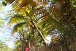 resIMG_20190610_105908_0708.JPG